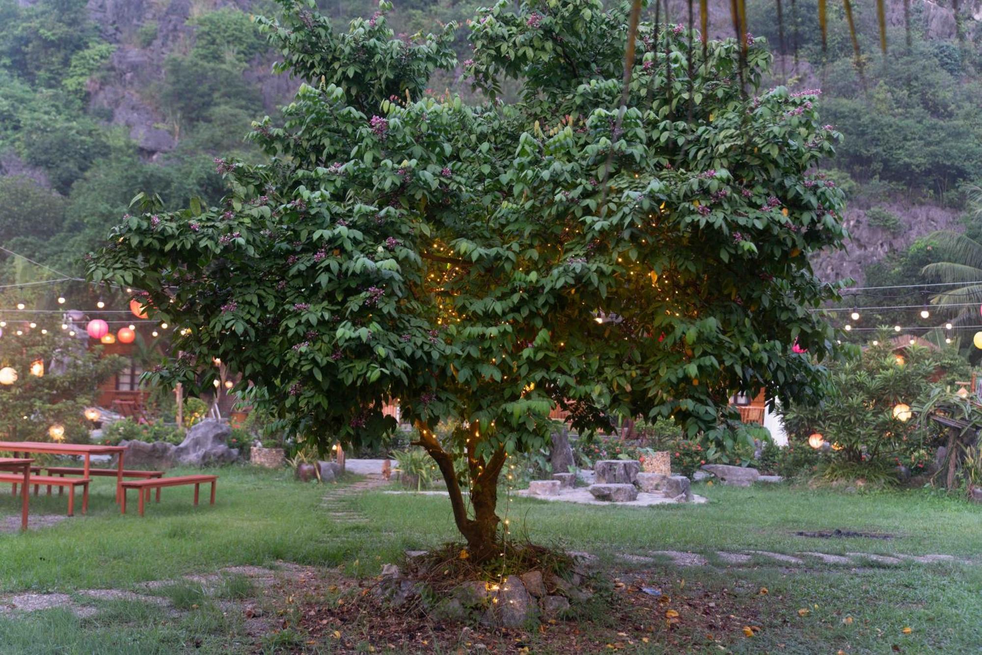 The Goat Boutique Resort Ninh Binh Exterior foto