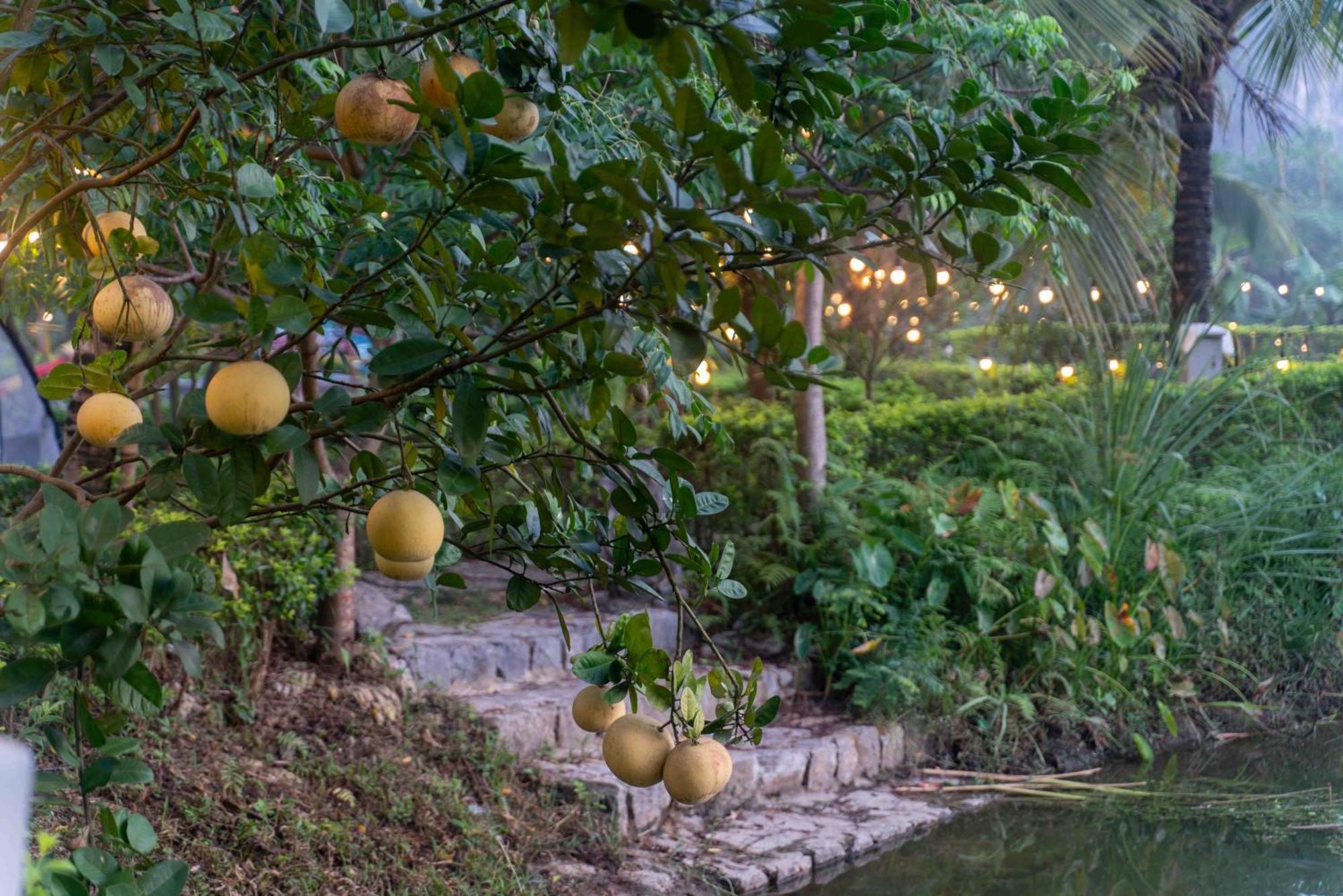 The Goat Boutique Resort Ninh Binh Exterior foto
